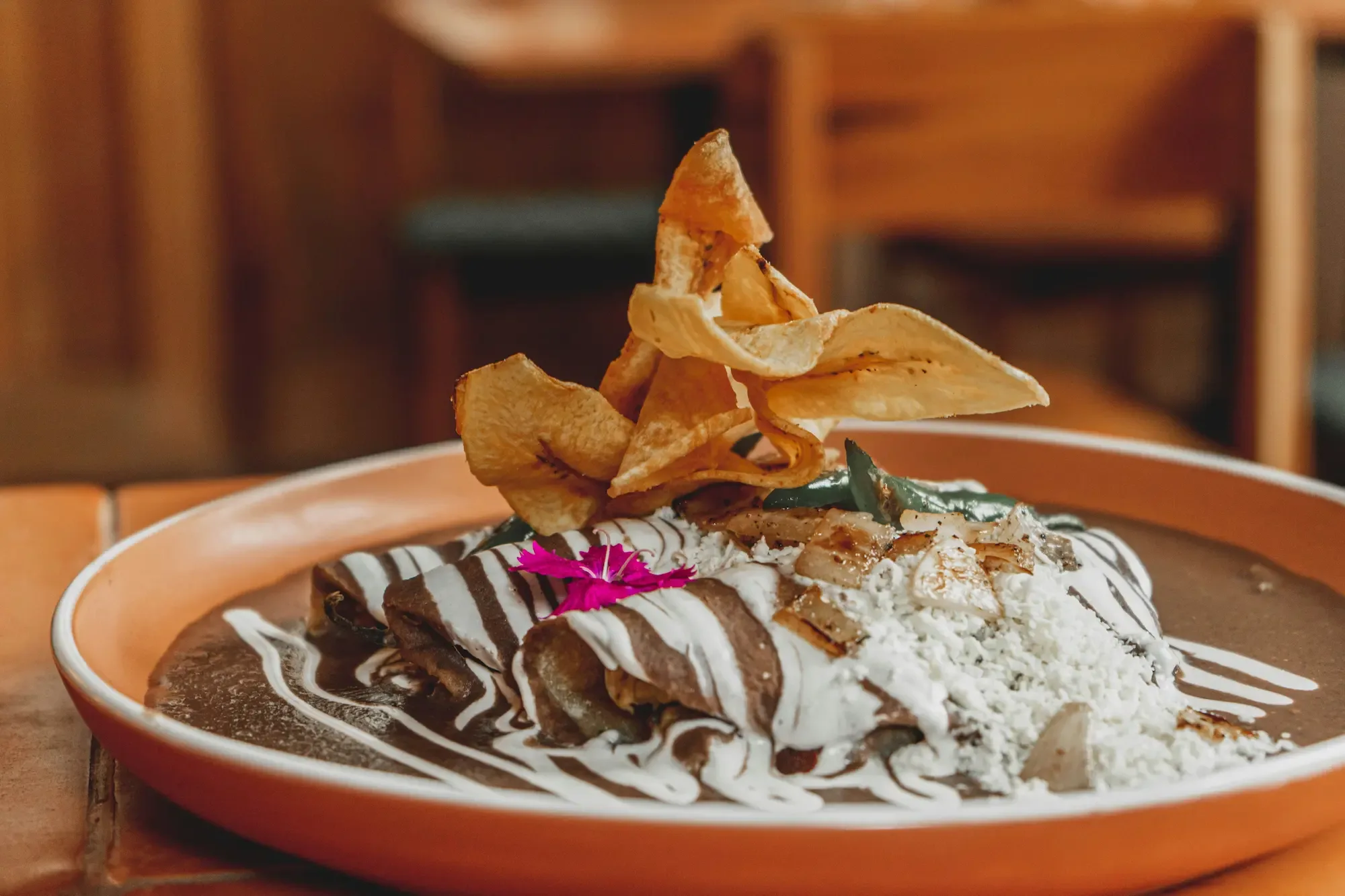 Mole negro enchiladas plated at Mexico De Noche